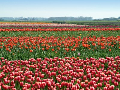 Holiday house 't Veldje - Environment photo 25