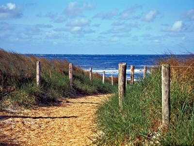 Holiday house 't Veldje - Environment photo 27