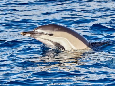 Holiday house Fisherhouse23 - Environment photo 32