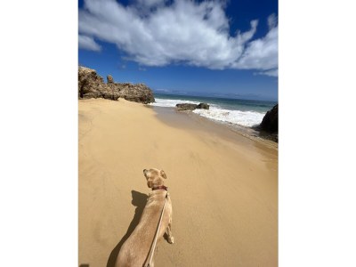 Holiday house Fisherhouse23 - Environment photo 35