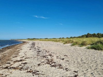 Holiday house 4 Sterne Ferienhaus in Glesborg-By Traum - Outdoor photo 31