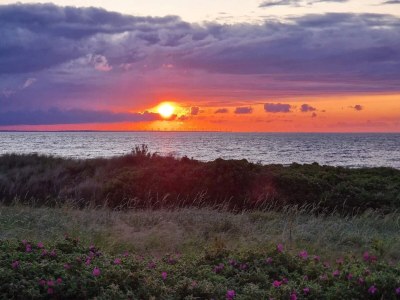 Holiday house 4 Sterne Ferienhaus in Glesborg-By Traum - Outdoor photo 41