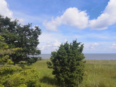 Holiday house 4 Sterne Ferienhaus in Glesborg-By Traum - Outdoor photo 55