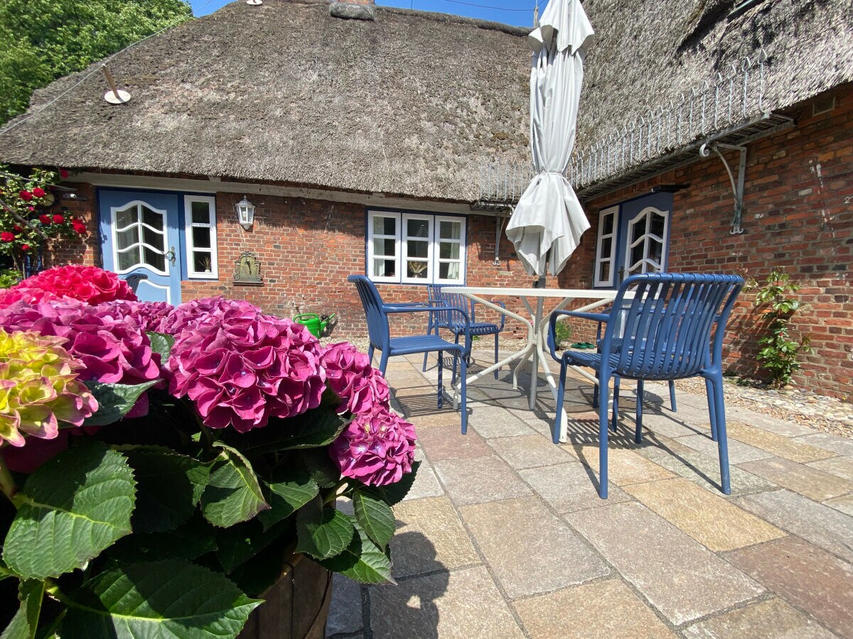 Holiday apartment "Lütt Puck" - Outdoor photo 5