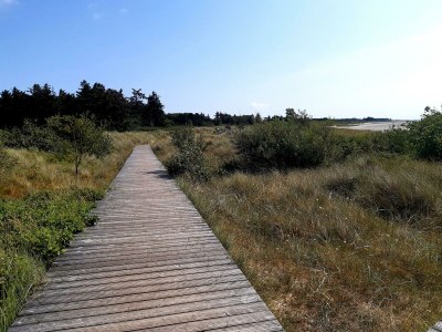 Holiday apartment "Lütt Puck" - Environment photo 33