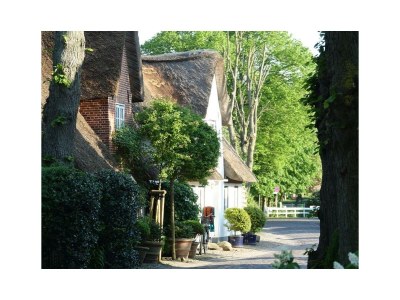 Holiday apartment "Lütt Puck" - Environment photo 36