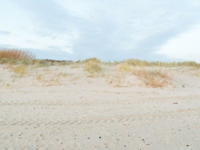 Holiday apartment Apartment Krabbe in the "Lütt Puck" - Environment photo 28