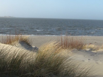 Holiday apartment Apartment Krabbe in the "Lütt Puck" - Environment photo 31