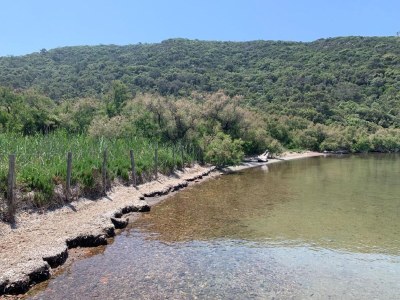 Holiday house Villa in Gaou mit Meerblick und Strand - Environment photo 26