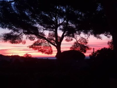 Holiday house Villa in Gaou mit Meerblick und Strand - Environment photo 37