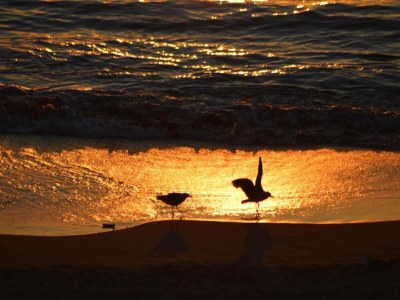 Holiday park Coastal Apartment with Terrace - Environment photo 33