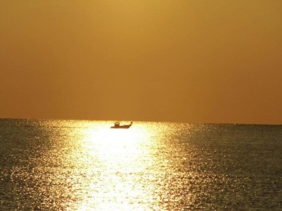 Holiday park Apartment in Le Lotus Blanc with Sea View - Environment photo 22