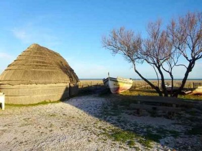 Holiday park Wohnung in Le Barcarès mit Meerblick - Environment photo 31
