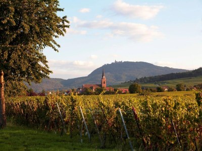 Holiday park Peaceful Alsace Retreat - Environment photo 25