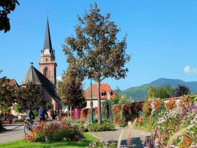 Holiday park Peaceful Alsace Retreat - Environment photo 26