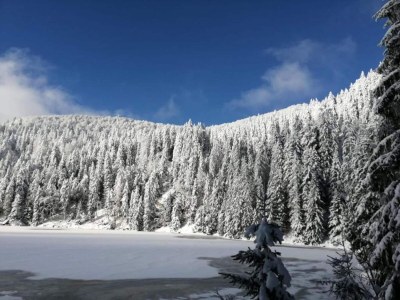 Holiday park Peaceful Alsace Retreat - Environment photo 35