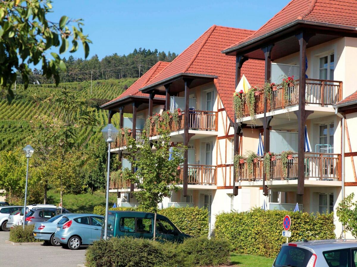 Holiday park Apartment in Bergheim near Alsace Vineyards - Outdoor photo 4