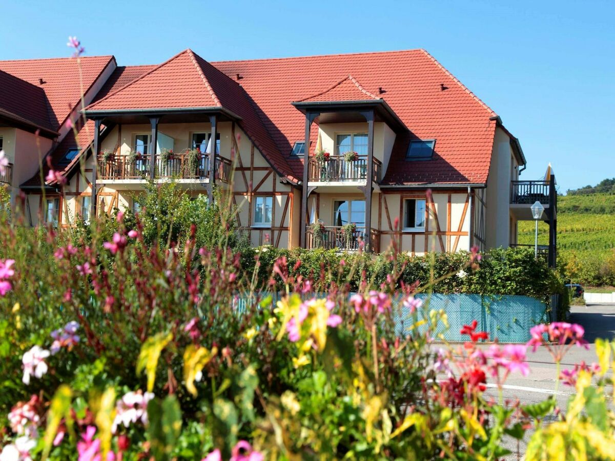Holiday park Apartment in Bergheim near Alsace Vineyards - Outdoor photo 5