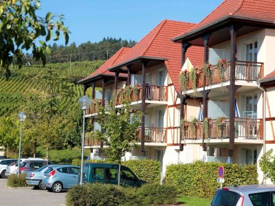 Holiday park Apartment in Bergheim near Alsace Vineyards - Outdoor photo 4