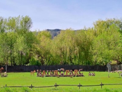 Holiday park Apartment in Bergheim near Alsace Vineyards - Environment photo 15