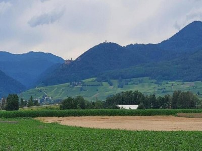 Holiday park Apartment in Bergheim near Alsace Vineyards - Environment photo 16