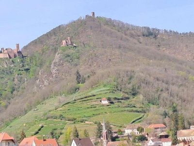 Holiday park Apartment in Bergheim near Alsace Vineyards - Environment photo 21