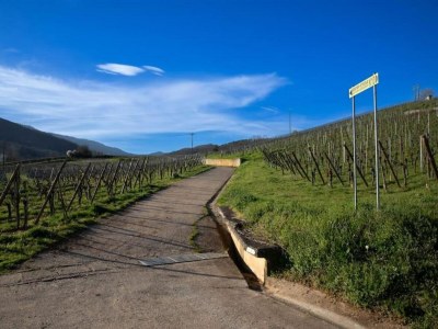 Holiday park Apartment in Bergheim near Alsace Vineyards - Environment photo 22