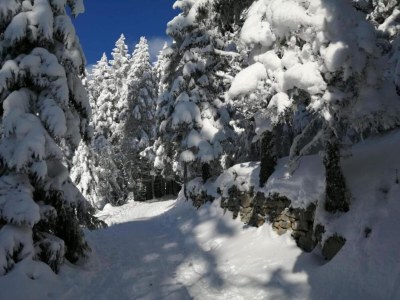 Holiday park Apartment in Bergheim near Alsace Vineyards - Environment photo 27