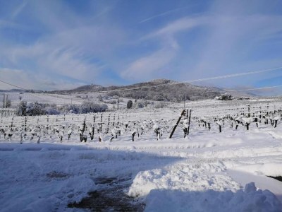 Holiday park Apartment in Bergheim near Alsace Vineyards - Environment photo 28