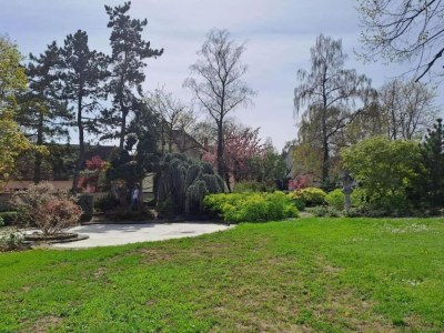 Holiday park Apartment in Bergheim near Alsace Vineyards - Environment photo 29