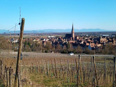 Holiday park Apartment in Bergheim near Alsace Vineyards - Environment photo 32