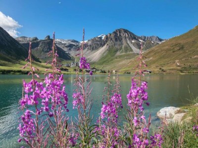 Holiday park Chalet-Style Stay in Val Claret - Environment photo 28