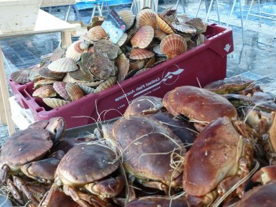 Holiday house Steinhaus Pleumeur-Bodou bei Rosa Stränden - Environment photo 14