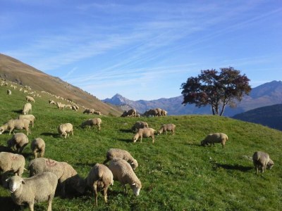 Chalet Chalet in Valloire near Ski Slopes - Environment photo 17