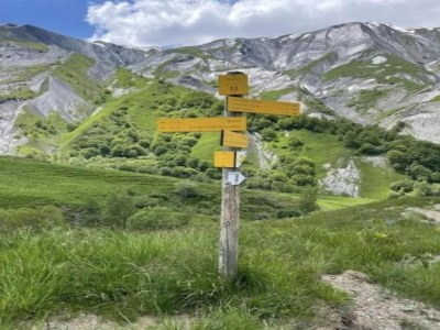 Holiday park Chalet Living in the Alps - Environment photo 36