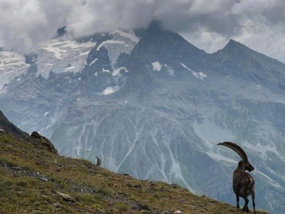 Holiday park Apartment am Table Verte Lift - Environment photo 21