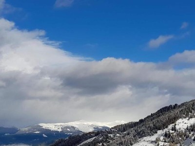 Holiday park Charming Ski-In Getaway - Environment photo 32