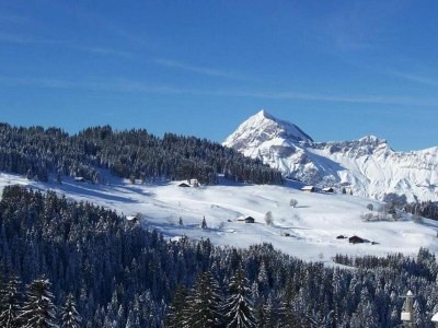 Holiday park Apartment in Le Village with Balcony - Environment photo 34