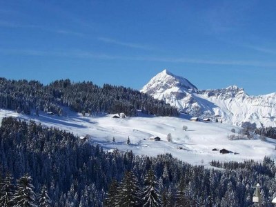 Holiday park Apartment in Le Village with Balcony Views - Environment photo 23