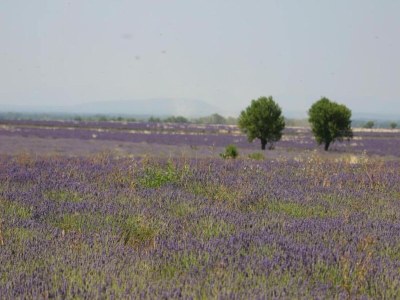 Holiday park Apartment in Gréoux-Les-Bains near Lakes - Environment photo 21