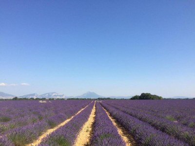 Holiday park Wohnung in Gréoux-Les-Bains bei Seen - Environment photo 16