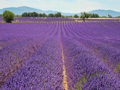 Holiday park Wohnung in Gréoux-Les-Bains bei Seen - Environment photo 22