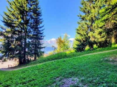 Holiday park Modern Mountain Base - Environment photo 22