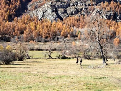 Holiday park Apartment in French Alps with Heated Pool - Environment photo 22