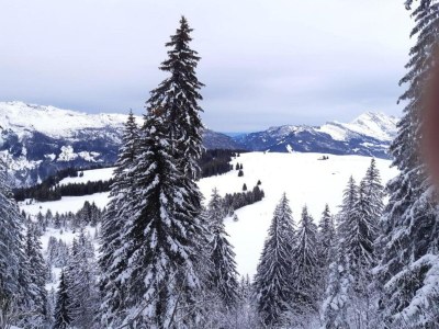 Holiday park Schickes Apartment im Chalet-Stil - Environment photo 15