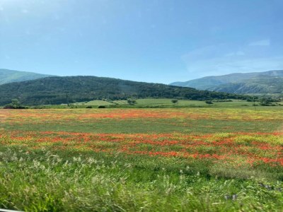 Holiday park Chalet am Hang in Vars - Environment photo 17