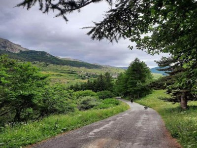 Holiday park Chalet am Hang in Vars - Environment photo 20