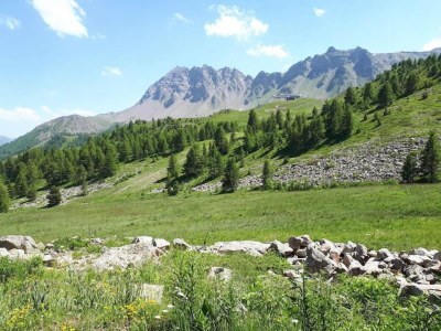 Holiday park Chalet am Hang in Vars - Environment photo 22