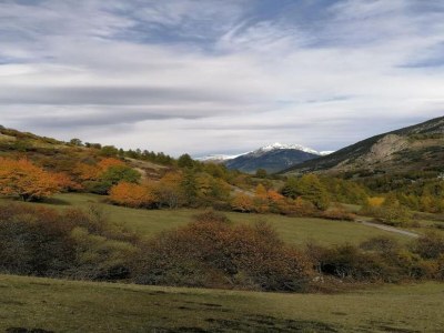 Holiday park Chalet am Hang in Vars - Environment photo 23