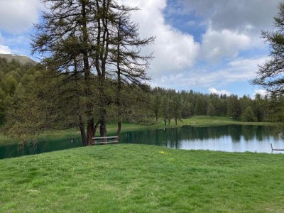 Holiday park Chalet am Hang in Vars - Environment photo 24